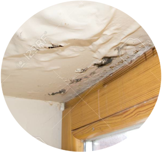 Leaky Homes Auckland